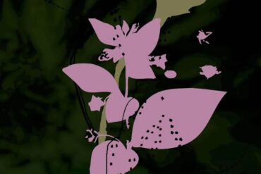 Belladonna Nocturne - Daniel Lanois